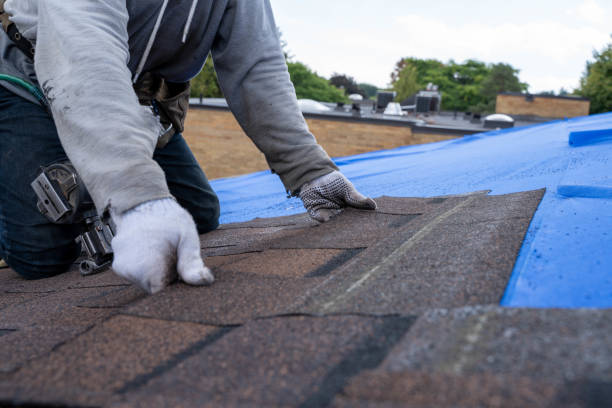 Best Commercial Roofing Services  in Hoxie, AR